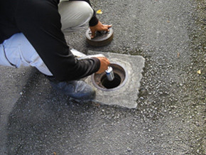 ゾーンスキャン調査