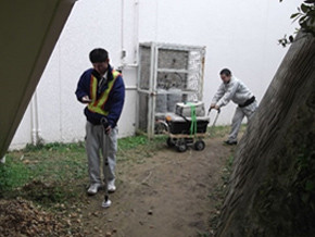 ガストレース調査